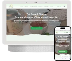 création d un e-Commerce pour du thé detox