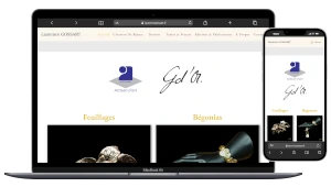 site vitrine pour une artiste Laurence Gossart qui crée bijoux et peinture