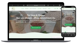 création d un e-Commerce pour du thé detox