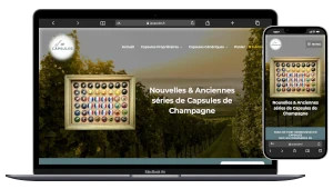 site marchand pour un e commerce qui vend des capsules de champagne