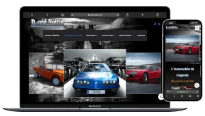 site vitrine pour la vente de voiture SUSSARGUES