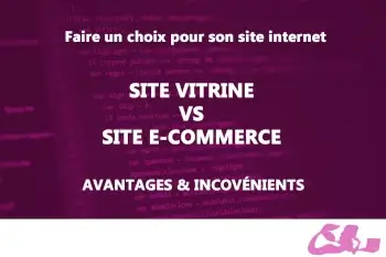 choisir entre un site vitrine et un site e commerce, tout comprendre avec aurore, créatrice de sites internet à aigues mortes