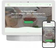 création d un e-Commerce pour du thé detox